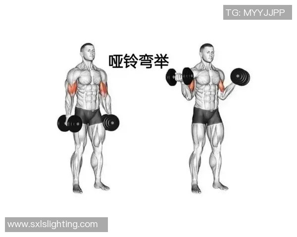 轻松掌握哑铃减肥技巧全方位视频教程助你塑造完美身材